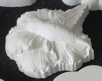 Колибри